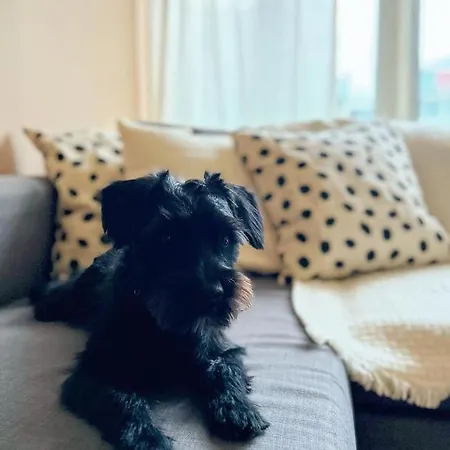 Sunset View * Cracóvia